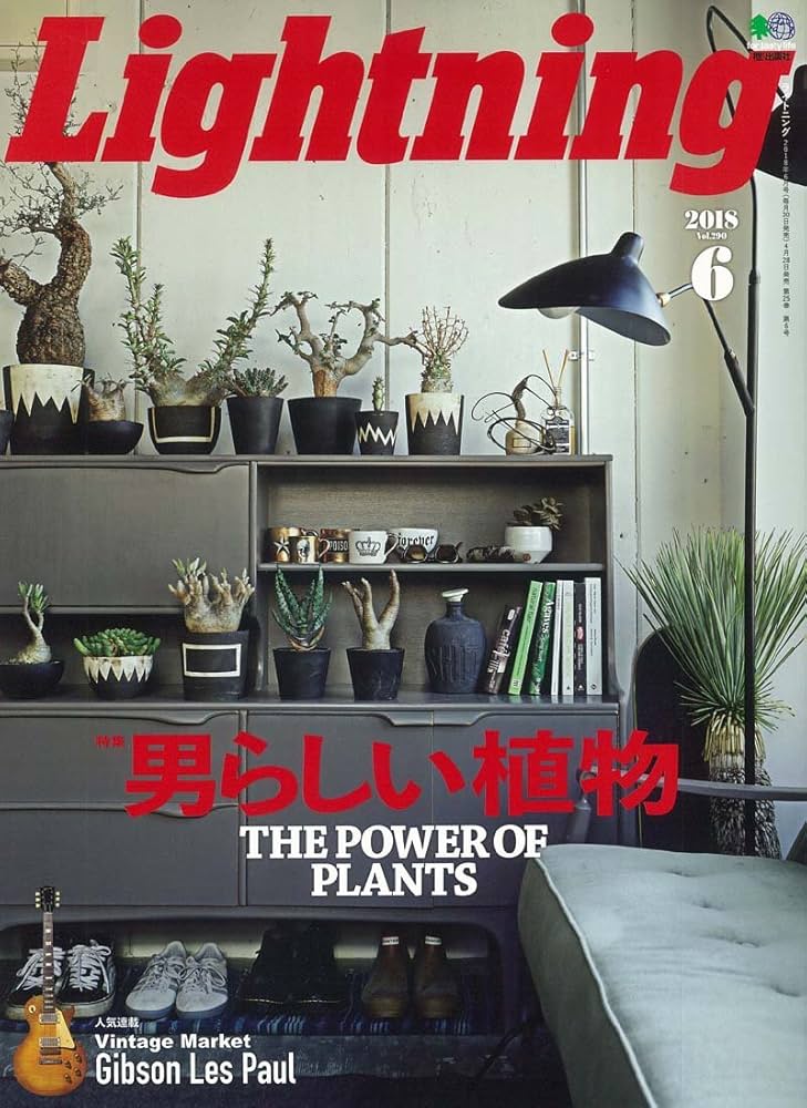 Amazon.co.jp: Lightning(ライトニング) 2018年6月号